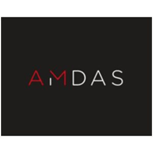 amdas property recruitment case study